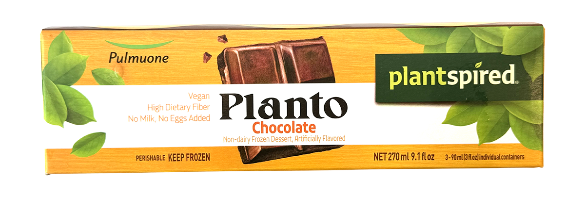 Pulmuone Planto Chocolate Frozen Dessert 9.1 oz