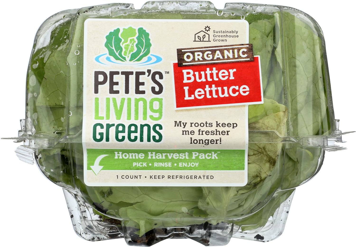 Pete's Living Greens Organic Butter Lettuce