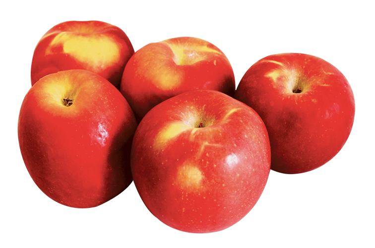 Organic Fuji Apple 5 lbs