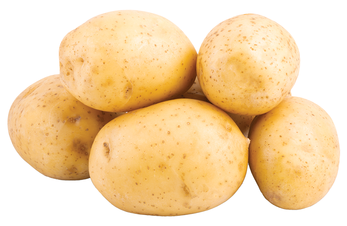 White Potato
