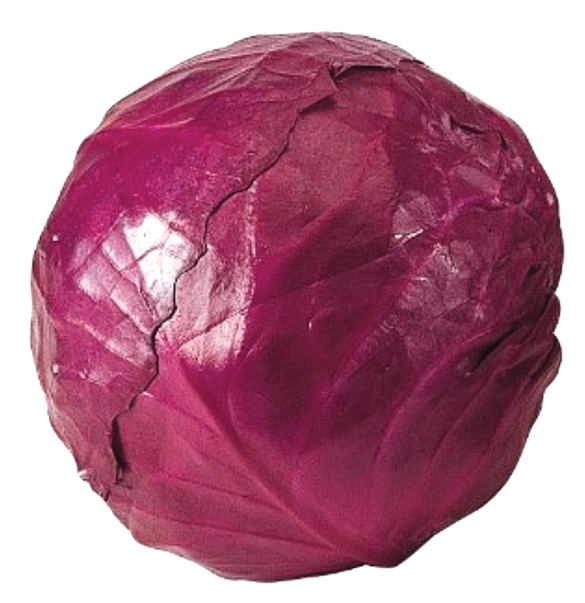 Red Cabbage