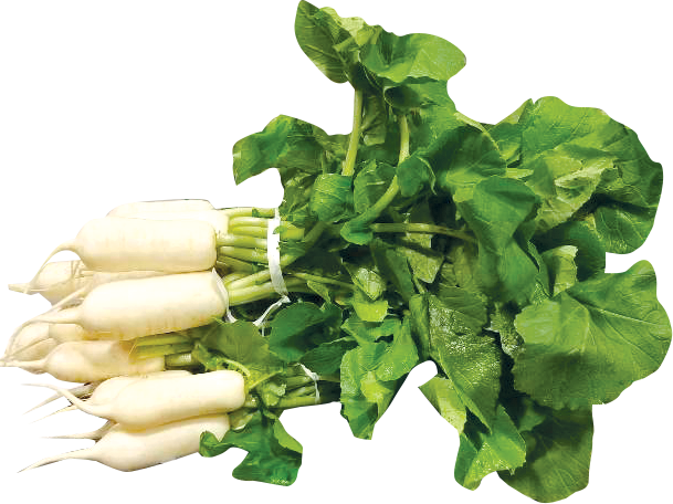 Young Radish Chong Gac Mu