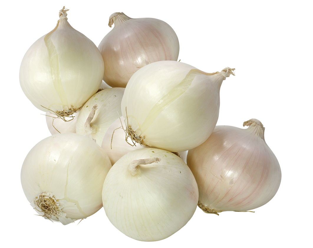 White Onions