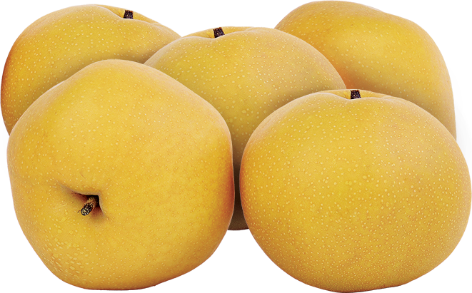 Korean Pears