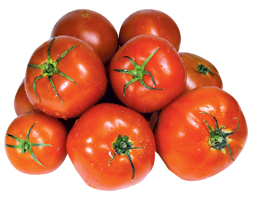 Tomato