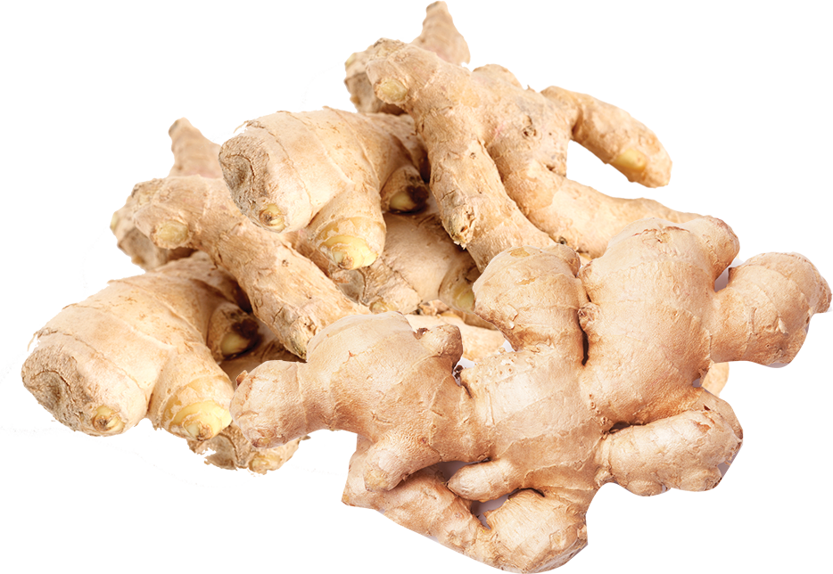 Ginger