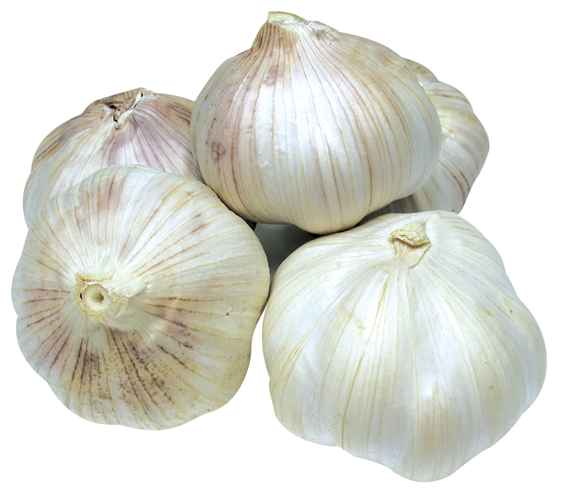 Whole Garlic