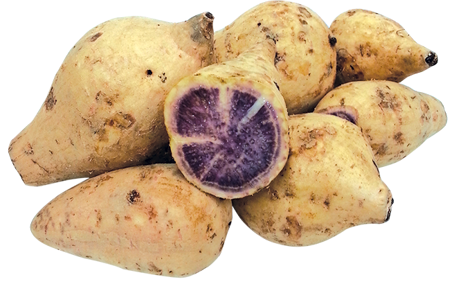 Hawaiian Purple Yam
