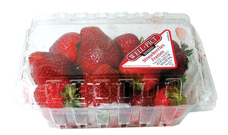 Well Pict Strawberry 16 oz