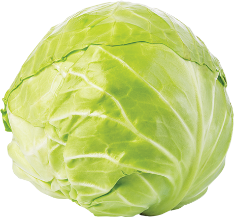 Cabbage