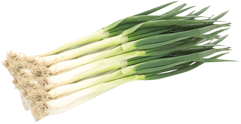 Big Green Onion