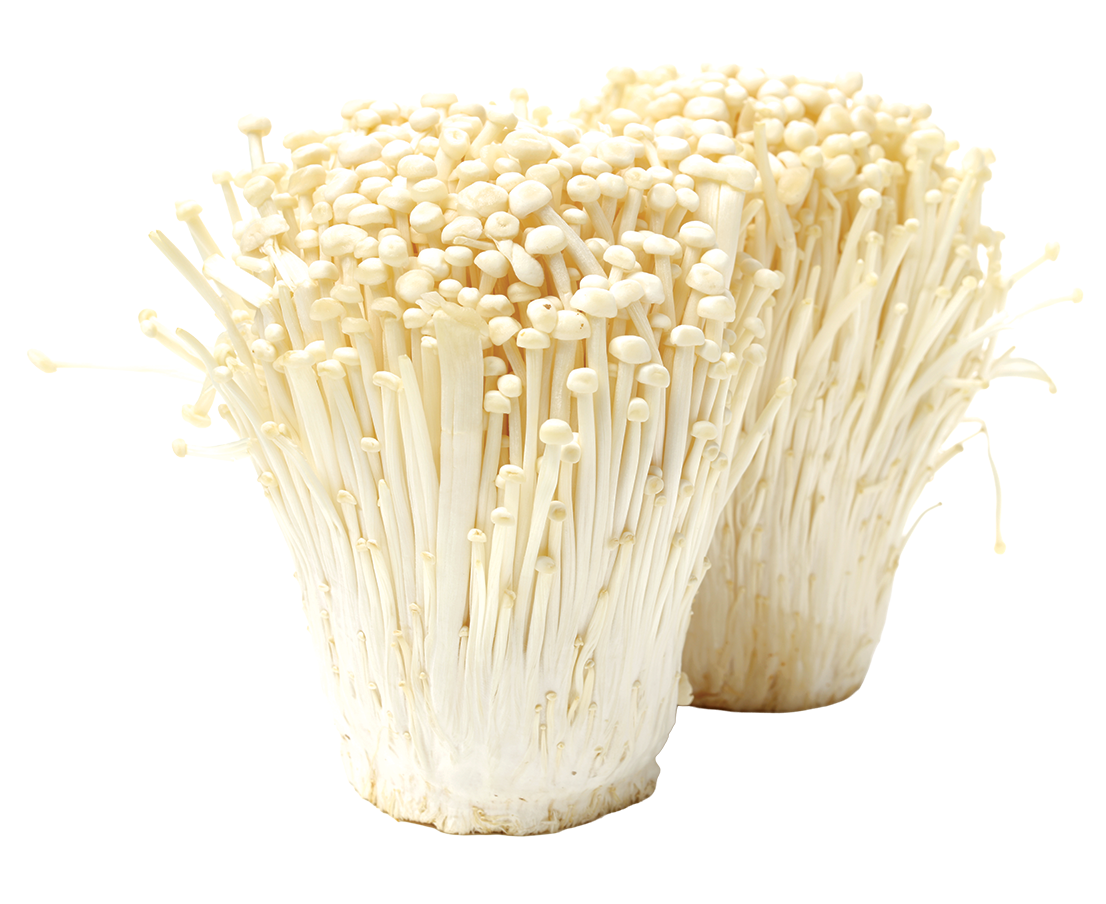 Enoki