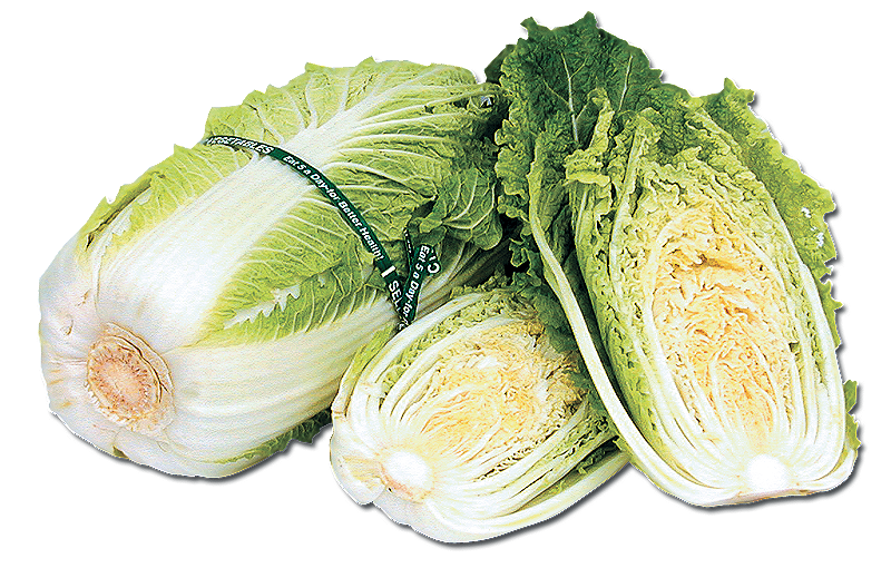 Napa Cabbage