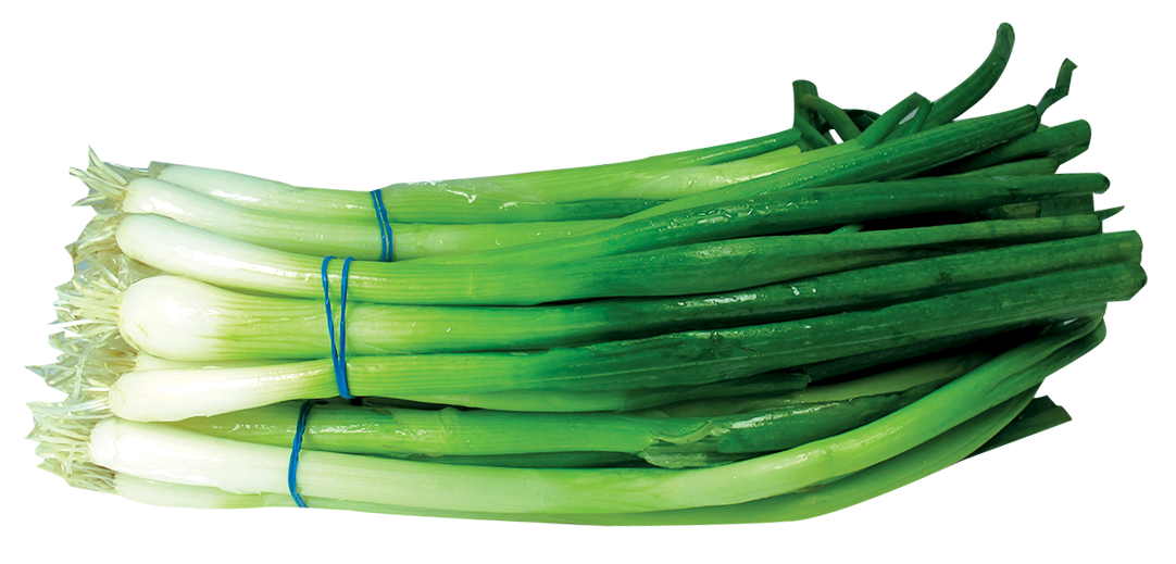 Green Onion