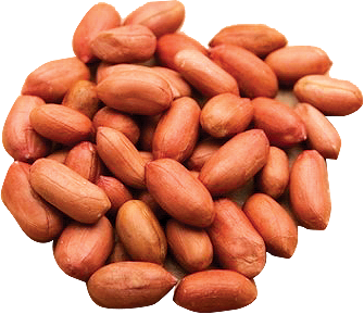 Roasted Peanut