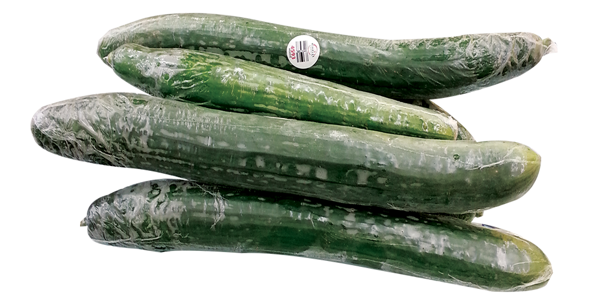 Hot House Cucumber