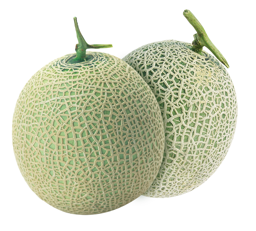 Melon Each
