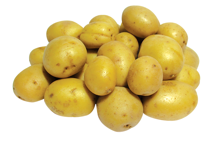 Mini Potato