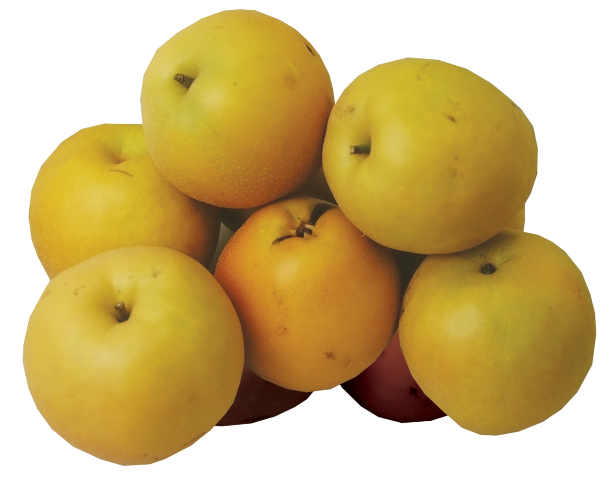 Apple Pear Hosui