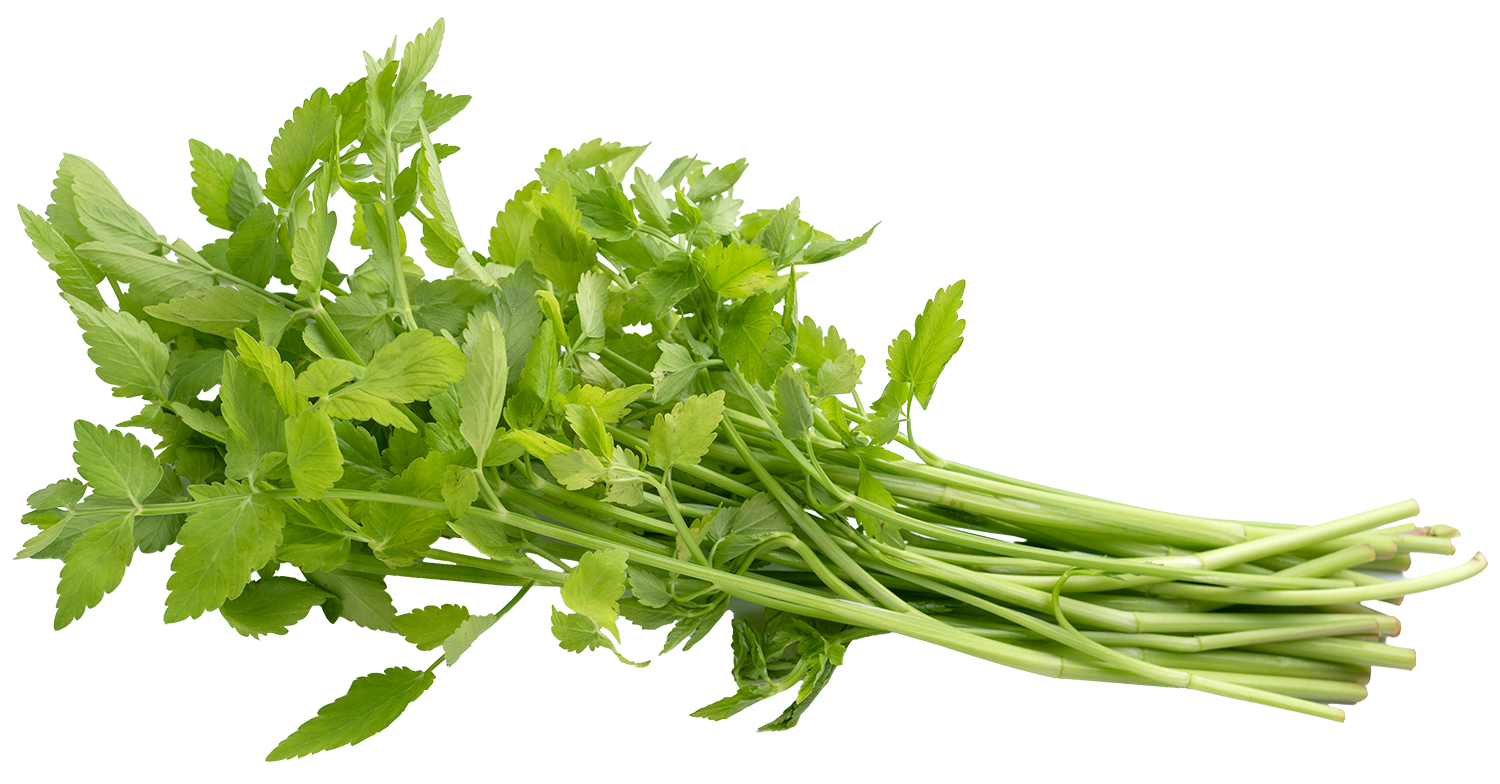 Watercress