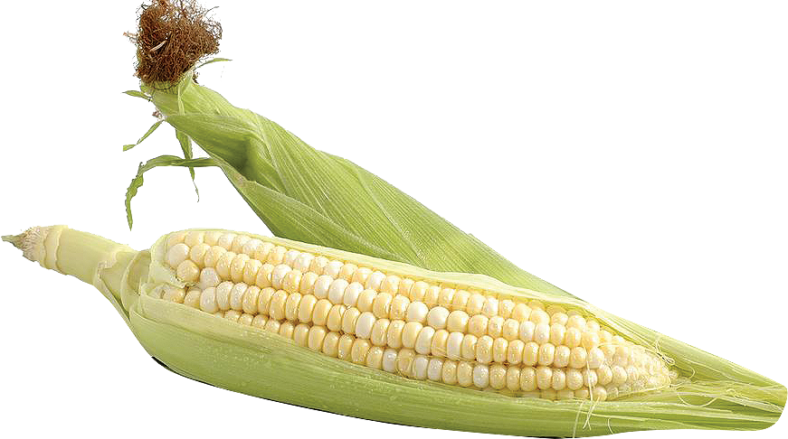White Corn