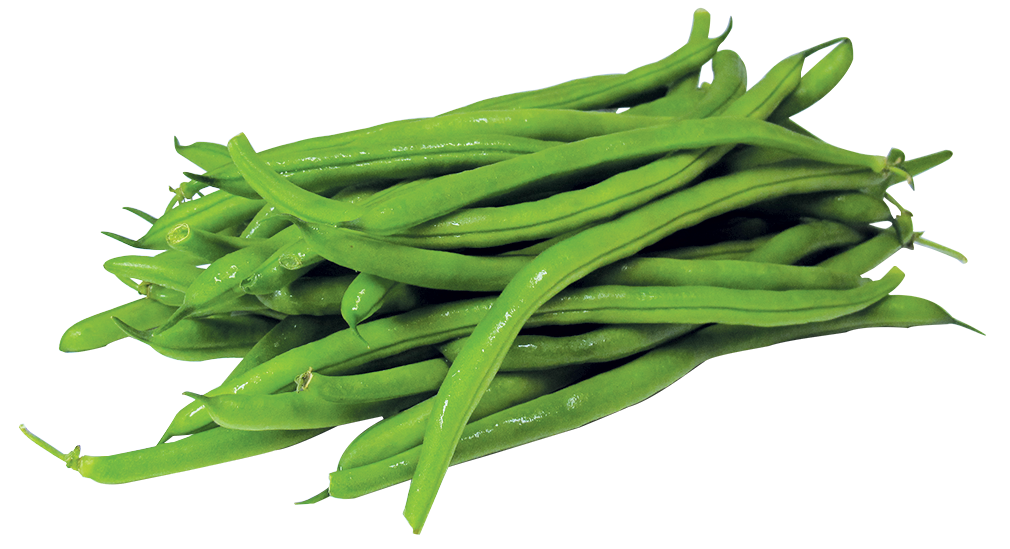 Green Bean