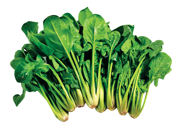 Korean Spinach