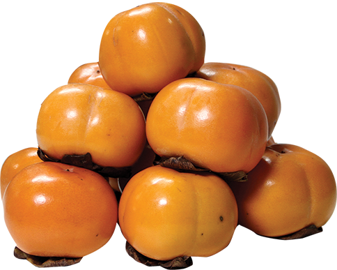 Persimmon