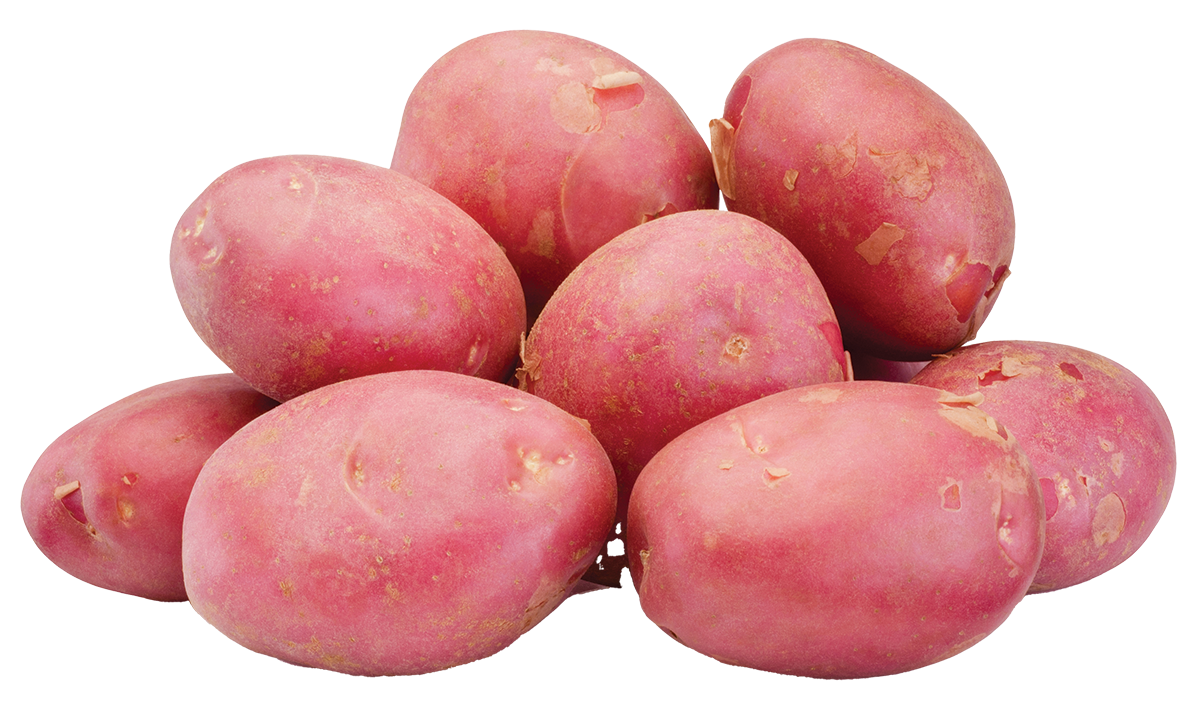 Red Potato