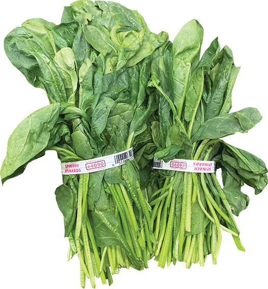 Korean Spinach