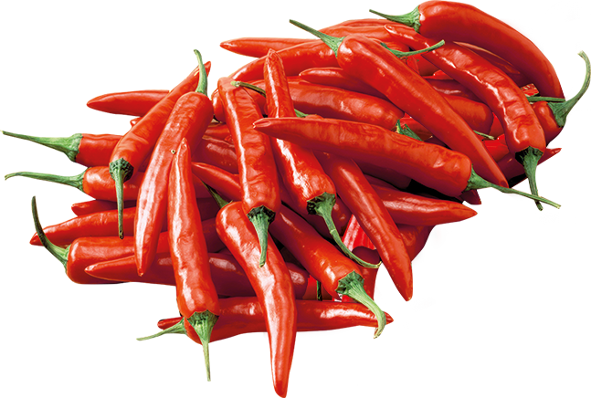 Red Jalapeno 1 lb Pack