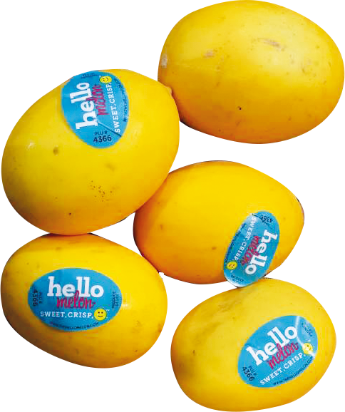 Golden Melon