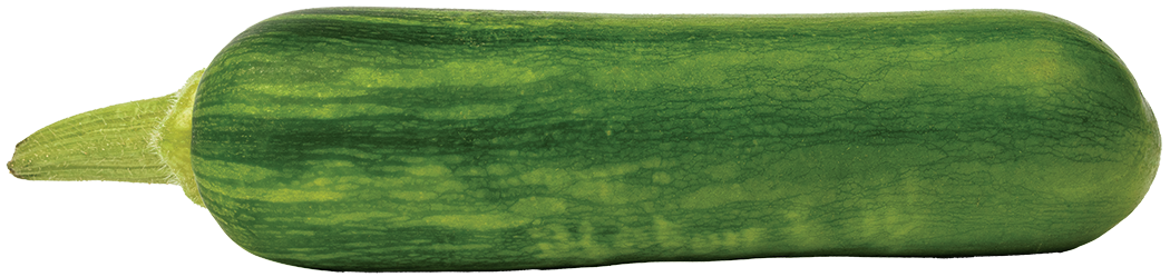 Long Squash One Piece