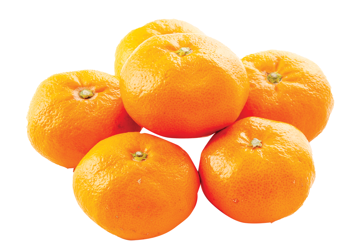 Satsuma Mandarins